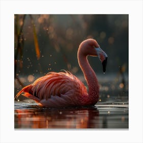 Flamingo 3 Canvas Print