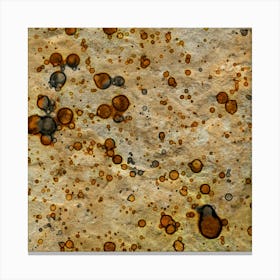 Abstraction Dried Water In The Desert Canvas Print