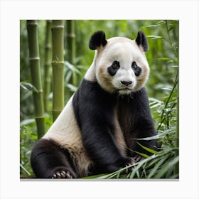 A Panda Sits Contently Eating Bamboo Amidst A Lush Green Forest, Its Black And White Fur Contrasting Beautifully With Nature 1 Canvas Print
