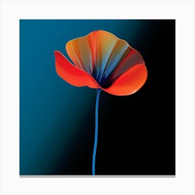 Poppies 1 Canvas Print