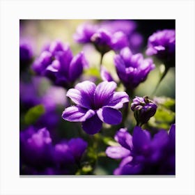 Purple Flowers 2 Canvas Print
