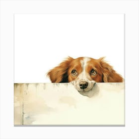 Setter Irish 2 Canvas Print