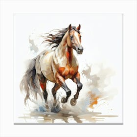 Horse Galloping 10 Canvas Print