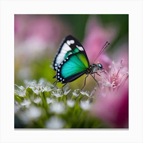 Butterfly On A Flower Canvas Print