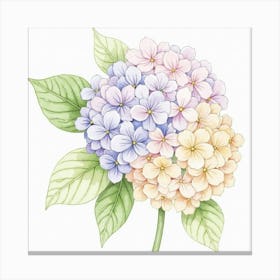 Delicate Watercolor Hydrangeas Blooming In Soft Hues Canvas Print