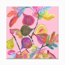 Fig Pink Square Canvas Print