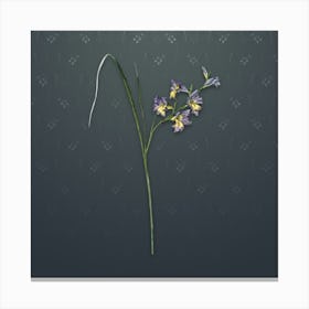 Vintage Gladiolus Ringens Botanical on Slate Gray Pattern n.1368 Canvas Print
