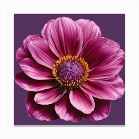 Dahlia 4 Canvas Print