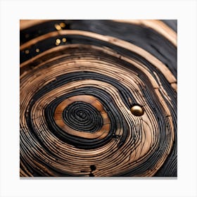 Ring Of Fire Canvas Print