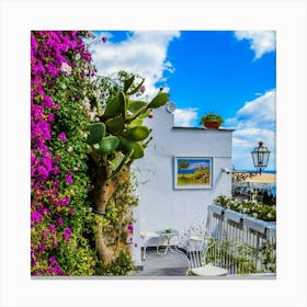 Cactus Garden Canvas Print