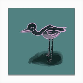 Dramatic Flamingo Canvas Print