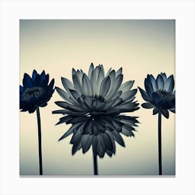 Three Blue Flowers hamptons Canvas Print