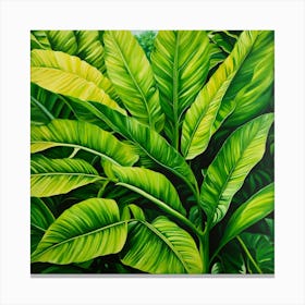 Banana Leaves Canvas Print