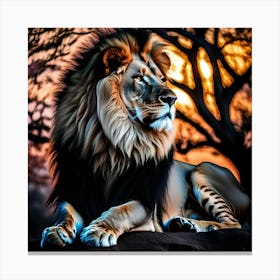 Lion At Sunset 23 Canvas Print
