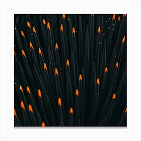 Black And Orange Flames Canvas Print