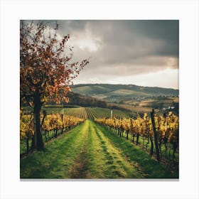 Autumn Vineyards Canvas Print