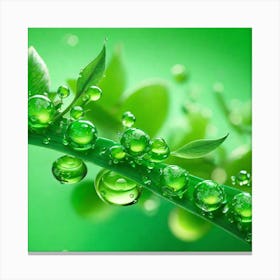 Water Droplets On A Leaf 1 Canvas Print