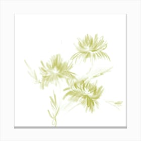 Chrysanthemums Toile