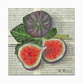 Figs On Italian Newspaper Purple Garden Exotic Fruit Minimal Dining Room Kitchen Decor from original Oil Painting Canvas Print
