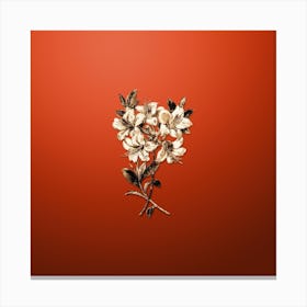 Gold Botanical Changeable Pontic Azalea on Tomato Red n.3608 Canvas Print