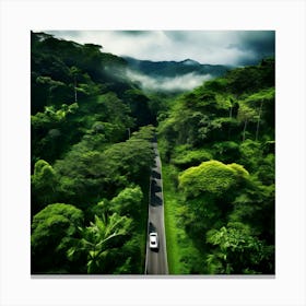 Road In The Rainforest Canvas Print