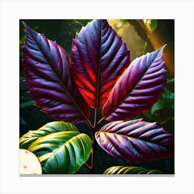 Mahogany leaf Canvas Print