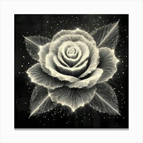 White Rose 1 Canvas Print