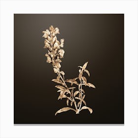 Gold Botanical Red Dragon Flowers on Chocolate Brown Canvas Print