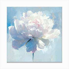 White Peony Canvas Print