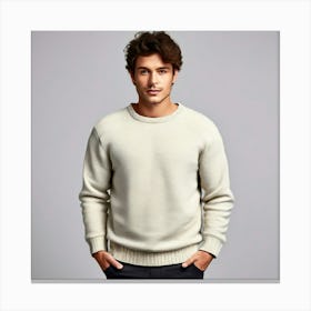 Mock Up Jumper Blank Plain Sweater Pullover Knit Cotton Wool Fleece Soft Comfy Cozy M (6) Canvas Print