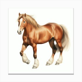 Clydesdale Horse Canvas Print