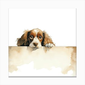 Spaniel Cocker Canvas Print