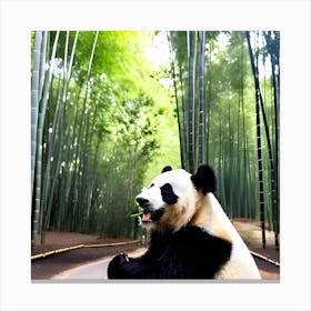 Panda In Bamboo Forest Canvas Print