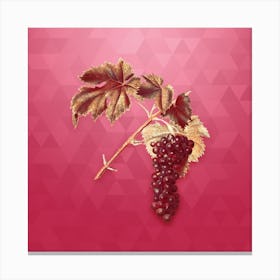 Vintage Black Aleatico Grape Botanical in Gold on Viva Magenta n.0034 Canvas Print