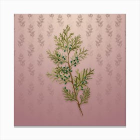 Vintage Virginian Juniper Botanical on Dusty Pink Pattern n.2180 Canvas Print