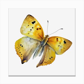 Yellow Butterfly Watercolor Painting Canvas Print