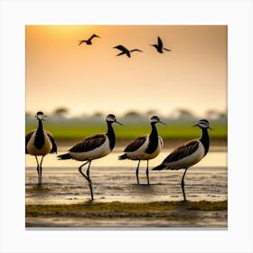 Birds At Sunset Canvas Print