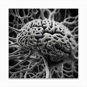 Brain In Black And White Canvas Print