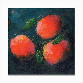 Tangerines Canvas Print