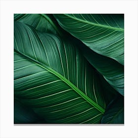 Green Leaves Background 1 Canvas Print