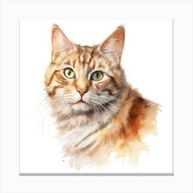 York Chocolate Cat Portrait 1 Canvas Print