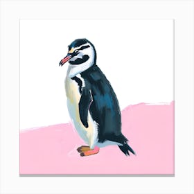 Chinstrap Penguin 02 Canvas Print