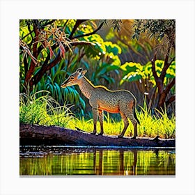 Magic Forest 1 Canvas Print