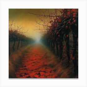 Path Through The Vineyard Canvas Print