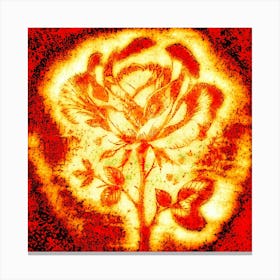   Flower On Red Background Canvas Print