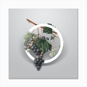 Vintage Grape from Ischia Minimalist Botanical Geometric Circle on Soft Gray Canvas Print