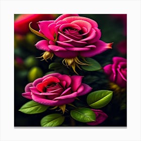 Pink Roses Canvas Print