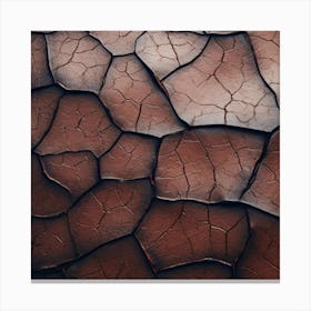 Cracked Sand 2 Canvas Print