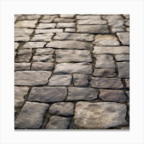 Cobblestone Road 8 Canvas Print