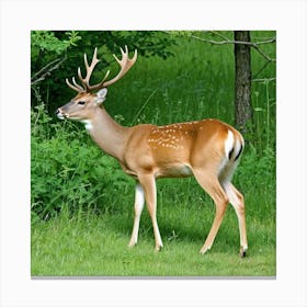 Deer Buck Doe Antlers Herbivore Mammal Graceful Elegant Wildlife Forest Meadow Grazing A (3) Canvas Print